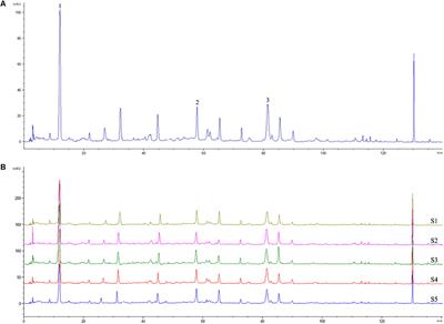 Qingpeng Ointment Ameliorates Inflammatory Responses and Dysregulation of Itch-Related Molecules for Its Antipruritic Effects in Experimental Allergic Contact Dermatitis